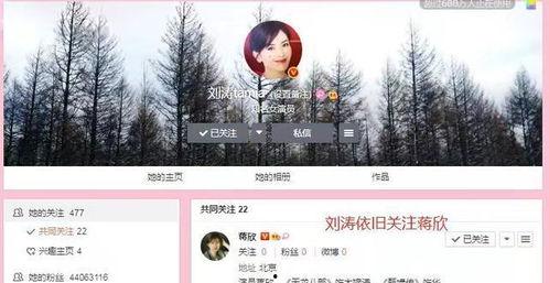 卓伟最新爆料一哥一姐,揭秘娱乐圈一哥一姐背后的惊人真相  第3张 卓伟最新爆料一哥一姐,揭秘娱乐圈一哥一姐背后的惊人真相  第3张