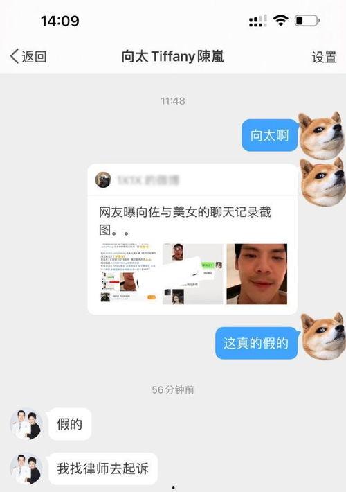 向佐出轨爆料者视频合集,事件全解析  第3张 向佐出轨爆料者视频合集,事件全解析  第3张