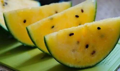 甘肃最新的瓜爆料,瓜果飘香,丰收喜讯传四方  第1张 甘肃最新的瓜爆料,瓜果飘香,丰收喜讯传四方  第1张