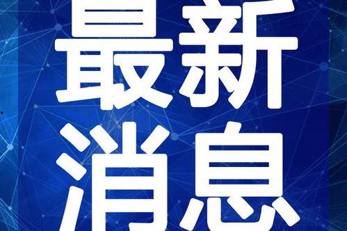 爆料刘哥历史视频大全最新,历史视频大全中的精彩瞬间回顾  第3张 爆料刘哥历史视频大全最新,历史视频大全中的精彩瞬间回顾  第3张